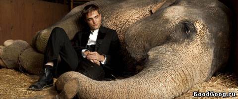 «Воды слонам!», почему книга проигрывает фильму.