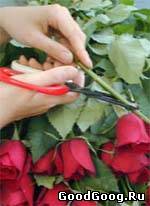 Уход за цветами