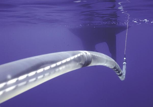 Республика Финляндия готова принять помощь РФ в проведение работ по монтажу подводного кабеля для связи