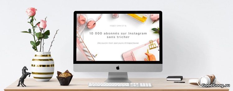 Подписчики в Instagram