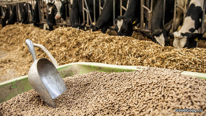 Комбикорм для животных