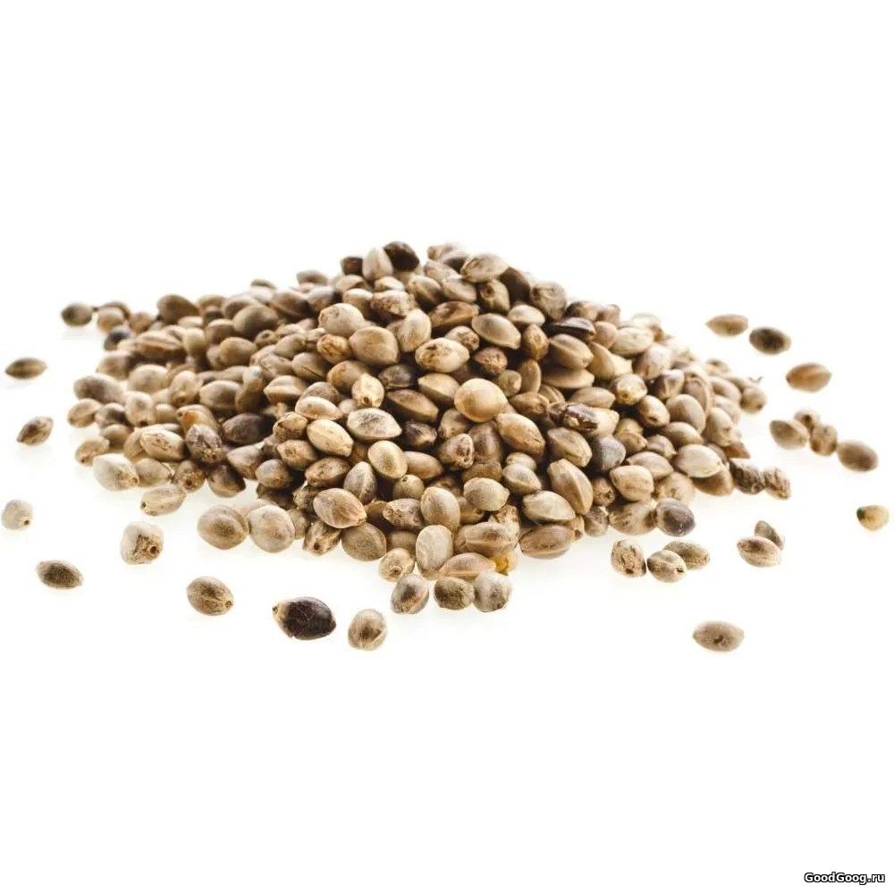 Семена конопли